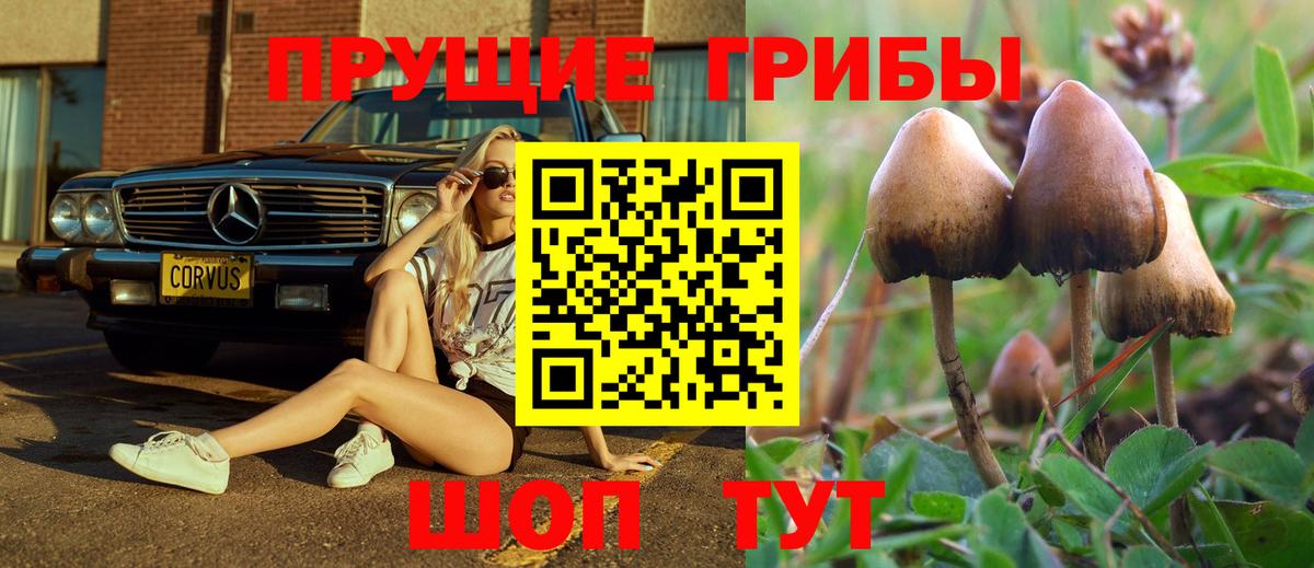 Псилоцибиновые грибы мицелий  Вход с VPN  Новодвинск 
