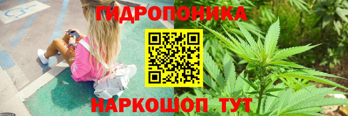Марихуана планчик Новодвинск